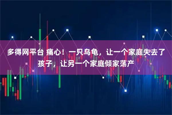 多得网平台 痛心！一只乌龟，让一个家庭失去了孩子，让另一个家庭倾家荡产