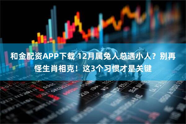 和金配资APP下载 12月属兔人总遇小人？别再怪生肖相克！这3个习惯才是关键
