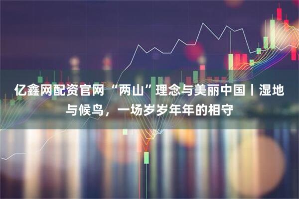 亿鑫网配资官网 “两山”理念与美丽中国丨湿地与候鸟，一场岁岁年年的相守