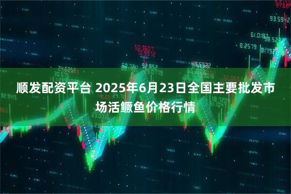 顺发配资平台 2025年6月23日全国主要批发市场活鳜鱼价格行情