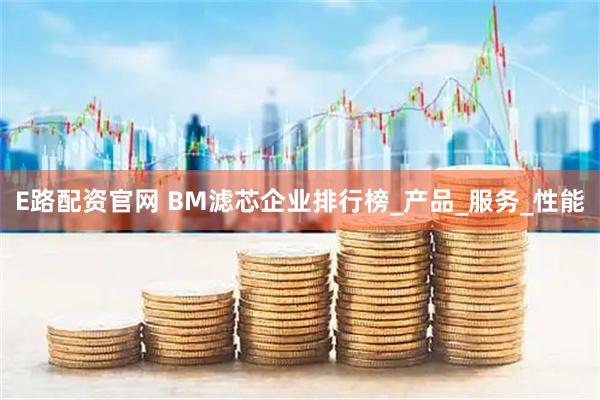 E路配资官网 BM滤芯企业排行榜_产品_服务_性能